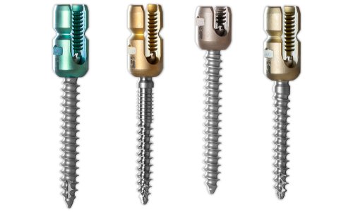 Posterior Spinal System Screws